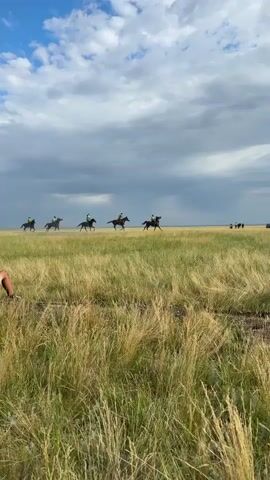 A group of six horses and their riders gallop across a grassy field under a cloudy sky. The horses are dark brown and are moving from left to right across the frame. The riders are wearing green shirts. The field is covered in tall, dry grass. In the distance, there appear to be a few other horses or animals, and possibly a vehicle. The sky is filled with dramatic, gray clouds, with some patches of blue visible.