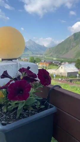 The video pans across a scenic view of a village nestled in a valley between majestic mountains. In the foreground, a dark planter box holds vibrant dark pink petunias, with a blurry yellow spherical object partially visible to the left. A wooden railing frames the bottom right of the shot. The middle ground reveals a cluster of houses with diverse roof styles, some with tin roofs and others with red tile. Green grass, dotted with small purple flowers, covers the landscape. A road or path winds through the village, with what appears to be train tracks or a similar structure running horizontally across the scene. The background is dominated by imposing, verdant mountains under a bright blue sky with scattered white clouds. The overall impression is one of a peaceful, rural setting.