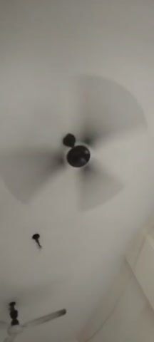 A ceiling fan with dark-colored blades spins rapidly, appearing as a blur against a white ceiling. Two dark objects are attached to the ceiling, one of which has a thin cord hanging from it. The lighting is bright and appears to be coming from above.