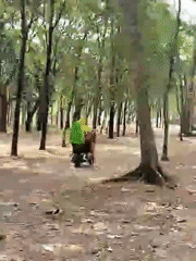 Scooter and bicycle riders moving through a leafy wooded trail