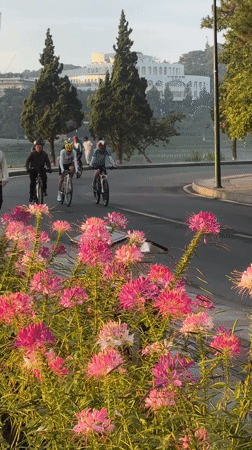 Evening cyclists and pedestrians active around Da Lat Vietnam