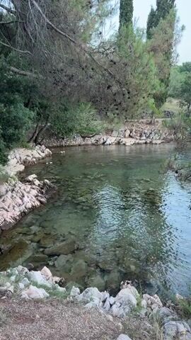 This media file captures a serene natural scene by the water, likely in Sveti Vid-Miholjice, Croatia, given the context. The footage opens with a close-up of a clear, shallow body of water, revealing the rocky bottom beneath. The edges of this water area are lined with stones and sparse vegetation, including some dry grasses and small green bushes. Tall, slender evergreen trees, possibly cypress, are visible in the background, interspersed with other leafy trees.

As the video progresses, the camera pans to the right, revealing a larger expanse of water. The scene shifts to a view of the sea, with a gentle, calm surface reflecting the overcast sky. The shoreline in this section is also rocky, with larger, rough-hewn stones creating a natural boundary. Overhanging branches of pine trees frame the view of the sea, with their needles silhouetted against the soft, diffused light. The overall impression is one of tranquility and natural beauty.

The time of day appears to be late afternoon or early evening, judging by the soft, diffused lighting and the calm, subdued colors of the sky and water. The weather seems mild, with no strong winds or harsh sunlight. There are no people or specific objects of focus, other than the natural elements of the landscape. The location cues, such as the Mediterranean vegetation and the clear, calm sea, strongly suggest a coastal area in the Mediterranean region. The overall mood conveyed is one of peace and quietude, inviting viewers to appreciate the simple beauty of nature. There is no visible text in the media file.