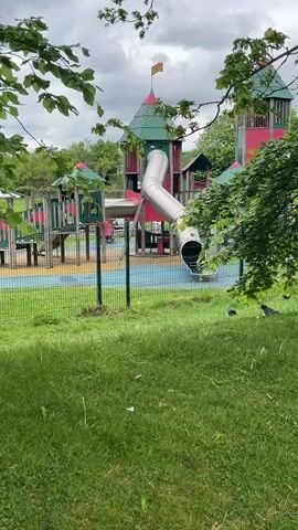 The video shows a colorful playground, resembling a castle, behind a green metal fence.  The playground features pink and green towers, a silver tube slide, and connecting structures.  In the foreground, a grassy area is visible with several black birds hopping on it. Tree branches with green leaves frame the top and right sides of the shot. The sky is overcast and gray.
