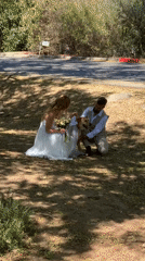 Newlyweds pause wedding photos to pet dog in Israel