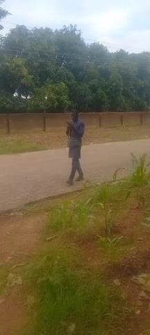 A man in a dark blue tunic and pants is standing on a dirt path next to a paved road, looking at his phone. He is wearing a black crossbody bag. Behind him is a low, tan brick wall and a line of trees. In the foreground, there are green plants, possibly corn stalks, growing. The sky is overcast.