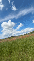 Hay harvest underway in Bulgarian countryside near Hisarya