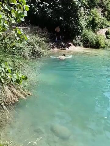 The video shows a body of turquoise water surrounded by rocky terrain and lush green vegetation. Several people are visible, some swimming in the water, while others are sitting or standing on the rocks and the shore. In the foreground, a person is swimming in the water. In the background, a group of people are gathered on a rocky outcrop overlooking the water. Another group is visible further along the shore, some of whom appear to be entering the water. The sun is shining, indicating it is daytime. The overall scene depicts a recreational area where people are enjoying the water and the natural surroundings.