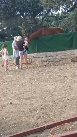 The video shows a woman holding a baby and standing next to another woman and a young girl. The women are standing on a dirt and stone area. Behind them, a brown horse is visible, with its head over a green barrier. The horse appears to be reaching towards the people. In the foreground of the video, there is some metal framing and a power tool. The environment appears to be outdoors, possibly at a farm or animal enclosure.