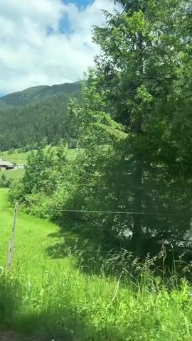 The video shows a scenic view of a green landscape with rolling hills covered in dense pine trees. In the mid-ground, there are a few scattered houses with dark roofs, nestled amidst the greenery. A tall, lattice-like power line tower stands prominently in the field to the left of the frame. The sky above is partly cloudy with white clouds against a bright blue background. The camera appears to be moving, suggesting a view from a vehicle or a train, as the landscape shifts slightly. There are no people visible in the video. The overall scene is one of natural beauty and rural tranquility.