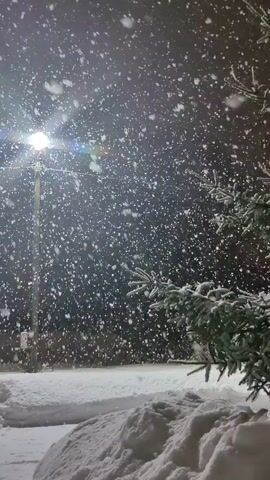 The video depicts a heavy snowfall at night. A streetlight illuminates the falling snow, making it appear as though it is raining upward. There is a snow-covered evergreen tree in the foreground on the right. Accumulations of snow are visible along a low wall or curb in the immediate foreground. The background is dark and indistinct. The scene is quiet, with the focus on the intensity of the snowfall.