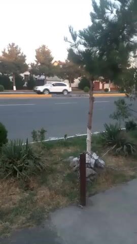 The video shows a street scene from a sidewalk. In the foreground, there is a concrete sidewalk, a grassy area with some low-lying bushes and plants, and a small tree that has been painted white on its trunk near the base. A chain fence runs along the edge of the sidewalk, supported by brown posts. In the background, there is a paved road with a yellow line separating the lanes. Several cars are visible driving on the road, including a white SUV, a dark sedan, and other vehicles that are less distinct. Across the road, there are buildings with pitched roofs and some trees. The sky is visible in the upper part of the frame, appearing to be during daylight, possibly late afternoon or early morning due to the lighting. The camera appears to be handheld and is moving slightly, suggesting the video is a recording of someone walking.