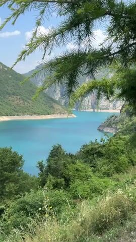A scenic video captures a turquoise lake surrounded by lush green mountains. The camera pans slowly, revealing the vastness of the lake and the rugged cliffs that frame it. The foreground is adorned with the branches of a coniferous tree and an abundance of greenery, creating a sense of depth and natural beauty. The sky is clear and blue, with a few scattered clouds, suggesting a pleasant day. The overall impression is one of tranquility and the untouched splendor of nature.