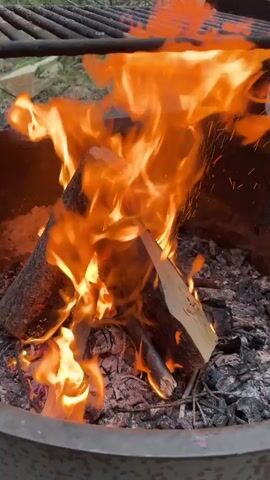 A close-up shot shows a campfire in a metal fire pit. Flames engulf logs and branches in the center of the pit, casting a warm orange glow. A metal grill rack is positioned above the fire. The background is blurred, suggesting an outdoor setting, possibly a campsite, with trees and foliage visible.