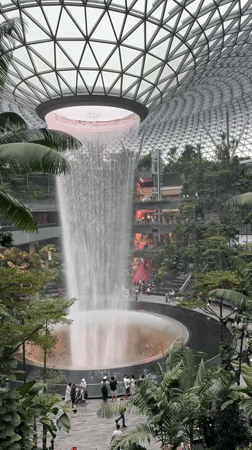 Visitors capture Singapore's Jewel Changi Airport waterfall during morning hours