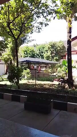 The video shows a courtyard with trees and plants. There is a gazebo in the middle of the courtyard. A building with red pillars is visible in the background. The video pans from left to right, showing different parts of the courtyard and the building.