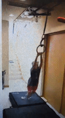 Bat Yam personal feed: gym, a cat, and everyday stuff