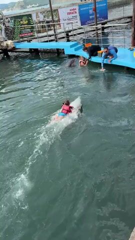 A high-angle shot captures a marine-themed park setting with a pool and a viewing platform. Several people are visible around the pool, including two adults in black and blue shirts interacting with a child wearing an orange life vest and a woman in a red life vest who is riding a dolphin. Another dolphin is seen interacting with the child in the orange life vest. Two other adults observe the scene from the platform. The background features buildings and a hilly landscape.