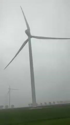 The video shows several wind turbines on a flat, green field under a heavily overcast sky. The visibility is poor due to what appears to be fog or heavy cloud cover. A row of trees is visible in the distance. The camera seems to be moving, likely from inside a vehicle passing by the windmills. The wind turbines are white and appear to be turning slowly.