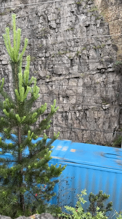 Train spotting and nature exploration in mountainous canyon setting