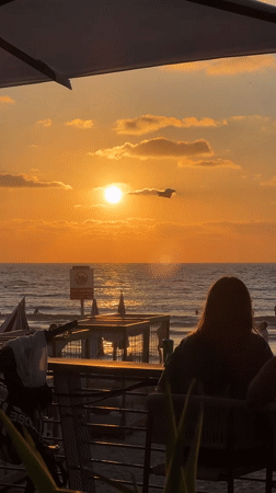 Golden hour at a Tel Aviv beach, umbrella and silhouettes