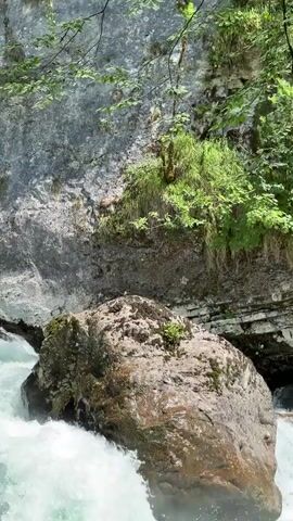 A close-up shot of a large, moss-covered rock in the middle of a turbulent, turquoise river. The rock is wet and glistening, with several small green plants growing on its surface. Behind the rock, a steep, gray cliff face rises up, adorned with lush green vegetation. The water is churning and white, indicating a strong current. The overall scene is one of natural beauty and untamed wilderness. There is no visible text. The lighting suggests it is daytime, likely sunny, based on the bright highlights on the rock and water. The environment appears to be a natural gorge or canyon, with the sheer rock walls and powerful river flow suggesting a remote and possibly mountainous location.