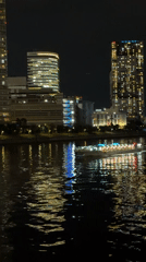 Illuminated boat crosses Tokyo waterway at night