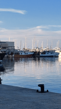 Peaceful marina scene captured at Dénia port terminal