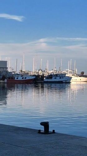 Peaceful marina scene captured at Dénia port terminal