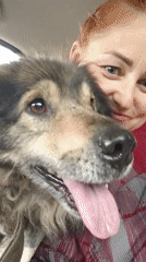 Woman and dog share tender moment in vehicle, Russia