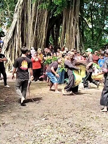 The video shows a group of people gathered in an outdoor area, possibly a forest or park. A large banyan tree with many aerial roots is visible in the background. In the center of the gathering, two men are engaged in what appears to be a traditional martial arts performance or ritual. They are dressed in dark clothing and are interacting with a green and yellow cloth or banner. Other people are standing around watching the performance, some are taking pictures or videos with their phones. The ground is covered with dirt, leaves and some patches of grass. There is also a small thatched structure or hut visible in the background. The atmosphere seems festive and celebratory.