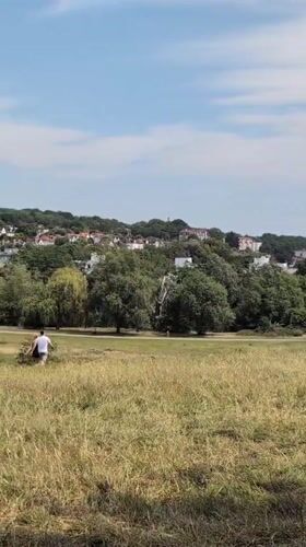 Lazy summer morning on a London green space