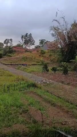 A natural landscape with vegetation and buildings. The scene appears to be outdoors, possibly in a rural or semi-rural area. There is a dirt path winding through grassy areas and some small trees. In the background, there are several houses and a cluster of trees. The sky is overcast, suggesting cloudy or possibly rainy weather. The overall impression is one of a tranquil, natural setting.
