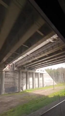 The video shows a view from a moving vehicle, likely a train, looking out the window. The scene is predominantly rural with a focus on a large concrete overpass or bridge structure. The overpass has multiple support columns and a wide deck. Beyond the overpass, there is a dense forest of birch trees with white bark. The ground in the foreground is covered in green grass and some dirt paths. Power lines are visible crossing the sky. The sky is cloudy. The video pans from left to right, following the movement of the vehicle. The overall impression is of a landscape passing by during travel.