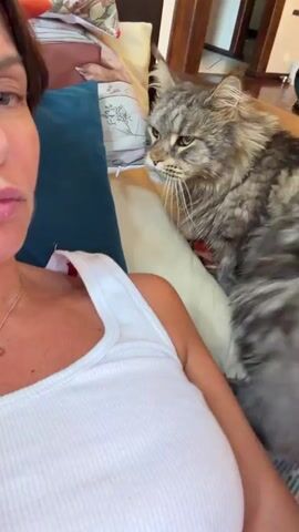 A close-up video shows a woman resting on a couch, with a large, fluffy gray tabby cat sitting beside her. The woman is wearing a white tank top and a necklace. The cat is looking at the woman, and its tail is visible. The background shows a pillow and part of a wooden furniture piece. The woman leans into the frame, puckering her lips, and the cat appears to nudge her. The video is brief, lasting only a few seconds.