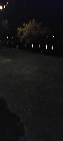 A video captures a nighttime scene outdoors. The camera appears to be held by someone walking along a paved path. To the left of the path is a grassy area, and beyond that, there are trees and some lights in the distance. A few figures can be seen scattered throughout the background, some appearing to be standing or walking. The overall lighting is dim, with artificial lights providing illumination in various spots. The video shows a person's legs and feet moving on the path from the perspective of someone walking.