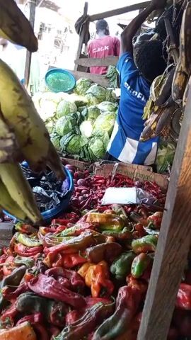 The video shows a vegetable stand in an outdoor market.  There are plantains hanging from the top left, and an assortment of vegetables displayed: mostly red and green bell peppers, plus onions, cabbages, tomatoes and potatoes. Two people are visible in the background, one wearing a red shirt and the other wearing a blue shirt. The camera moves around a bit, resulting in some blurriness in the video.