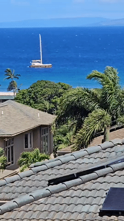 Sailboat spotted from Napili rooftop, white hull and red deck