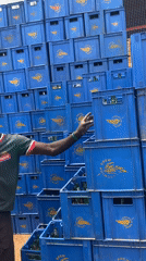 Beer distribution operations documented in Gura Top, Nigeria