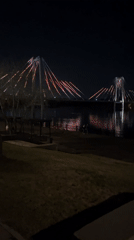 Person walks white dog along illuminated waterfront promenade at night