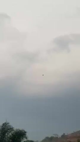 The video shows a bird flying against a cloudy sky. The bird is silhouetted against the gray clouds, and the camera follows its movement. In the foreground, there is a hint of vegetation, suggesting a landscape or natural setting.