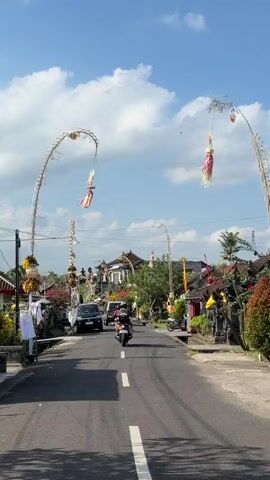 A low-angle, slightly shaky, vertical video shows a road in a village setting under a partly cloudy blue sky. Several tall, decorative poles adorned with offerings and colorful streamers, characteristic of Balinese culture, line both sides of the asphalt road. The poles are curved and topped with elaborate decorations. A few vehicles are on the road: a black SUV and several motorcycles. One motorcycle in the foreground is ridden by a person wearing a helmet and a dark jacket. Another motorcycle further ahead is also ridden by a person wearing a helmet. The buildings visible on either side of the road appear to be traditional Balinese houses with ornate architecture. Lush greenery and colorful flowers are also present. The overall atmosphere suggests a celebration or a special occasion.