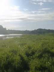 Village walk documented along Kalpinka River in rural Russia