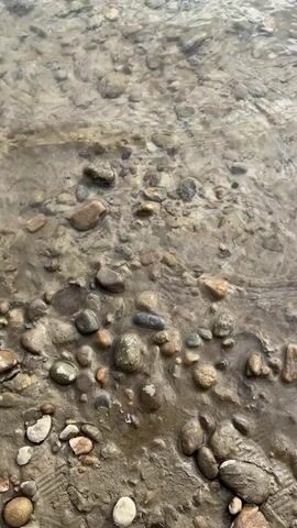 The video shows a close-up, overhead view of a shallow, rocky streambed. The water is clear and slightly murky, with small ripples moving across the surface. Numerous smooth, rounded stones of various sizes and colors are visible on the streambed, some submerged in water and others partially exposed. The stones are predominantly shades of grey, brown, tan, and pink. The streambed itself appears to be composed of sand and small pebbles. There are no people or animals visible in the video. The focus is entirely on the texture and movement of the water and the stones.