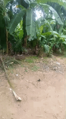 Witness documents mixed landscapes in Akwanga, Nigeria