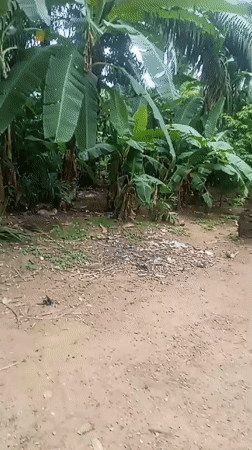 Witness documents mixed landscapes in Akwanga, Nigeria