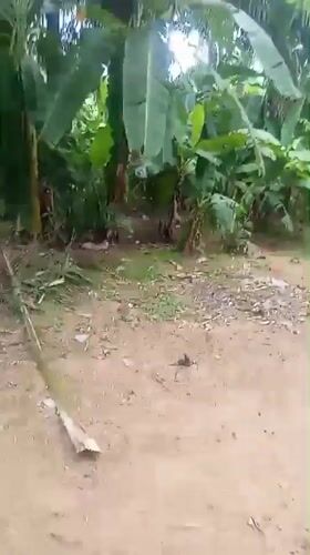 Witness documents mixed landscapes in Akwanga, Nigeria