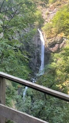 A tall, thin waterfall cascades down a rocky cliff face surrounded by lush green trees. The water appears white and foamy as it plunges into a pool at the bottom. In the foreground, a wooden railing is visible, suggesting a viewing platform or pathway. The sun is shining, casting dappled light on the scene.