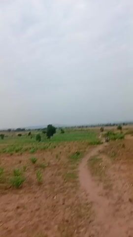 The video captures a vast, open landscape under a cloudy sky. The terrain appears dry and dusty, with patches of reddish-brown soil and sparse vegetation, including scattered trees and low-lying bushes. In the distance, a power line tower stands tall, suggesting the presence of infrastructure in this rural area.

The footage seems to be filmed from a moving vehicle or by someone walking, as the perspective shifts slightly throughout. The camera pans across the scene, revealing more of the arid land and the distant horizon. The lighting suggests it might be daytime, perhaps late morning or early afternoon, with diffused light due to the overcast conditions. The overall mood is one of openness and a sense of solitude, characteristic of a rural or undeveloped environment. There is no visible text in the video.