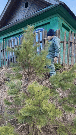 Children and pets enjoy outdoor afternoon in Zhigalki, Russia