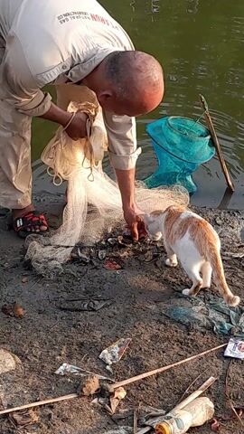 The video depicts a bald man standing near the edge of a body of water, possibly a pond or lake. He is wearing a light-colored shirt and pants, and red sandals. He is holding a white fishing net and appears to be extracting something from it with his hand. At his feet, on the muddy bank, is an orange and white cat, watching the man's actions with interest. To the man's right is a blue net and a wooden stick near the water's edge. The area around the man is littered with debris, including plastic and other waste materials.